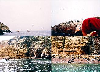 03_islas ballestas 1.jpg